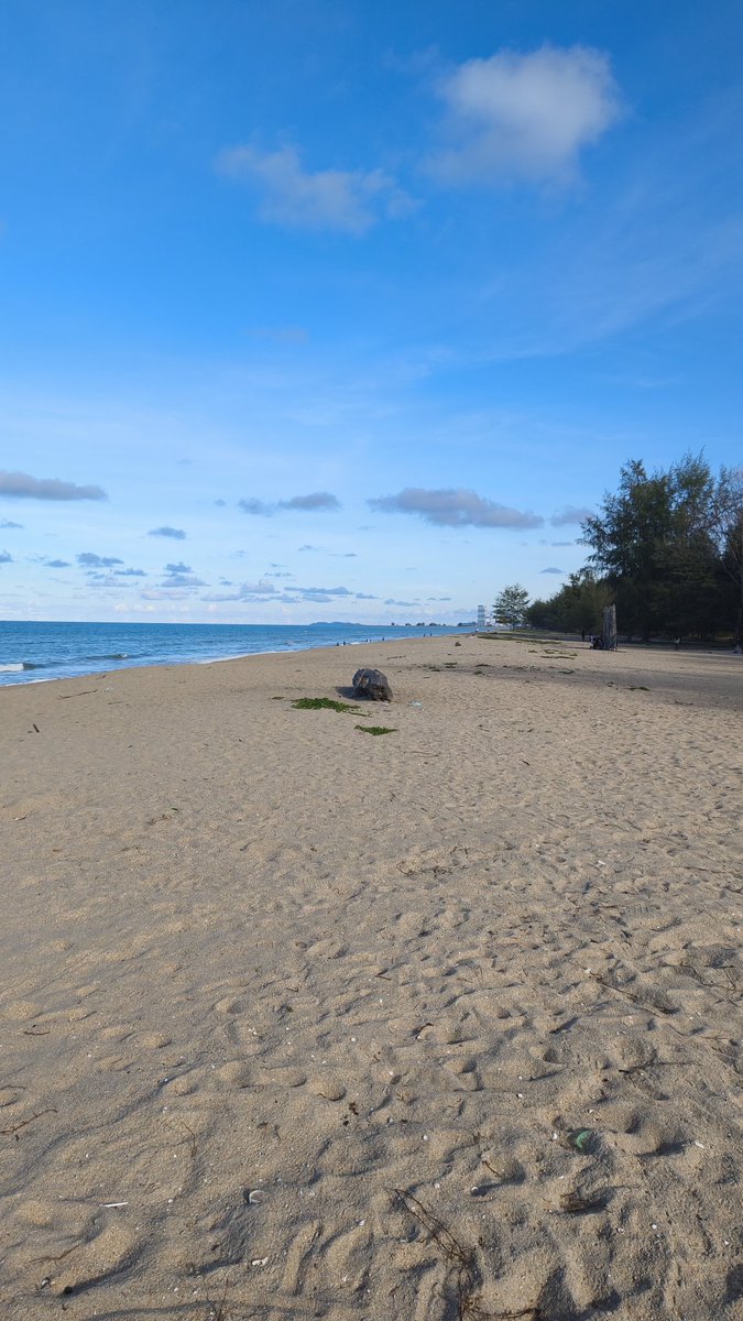 DiyanaHH tweet media