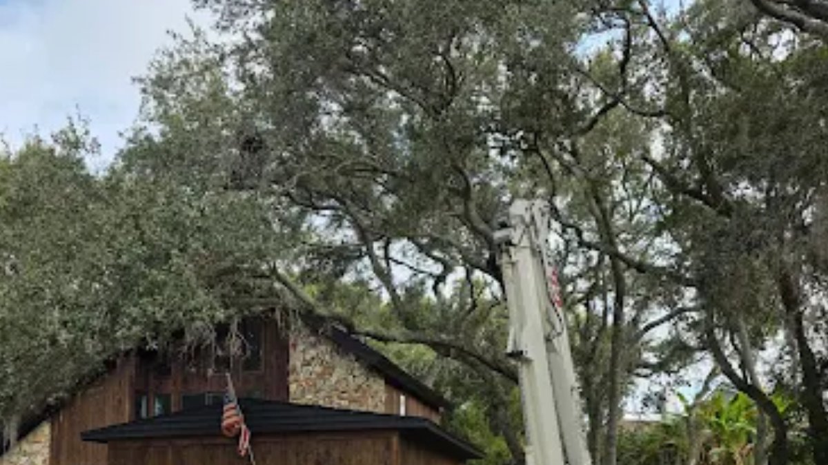 StumpsTree's tweet image. Branch Through the Roof?

Our team arrived on site in just 45 minutes and got to work fast.

✔️ Quick emergency response
✔️ Safe removal process
✔️ Property protected and secured

Fast action matters in storm damage situations.

#TreeService #EmergencyResponse