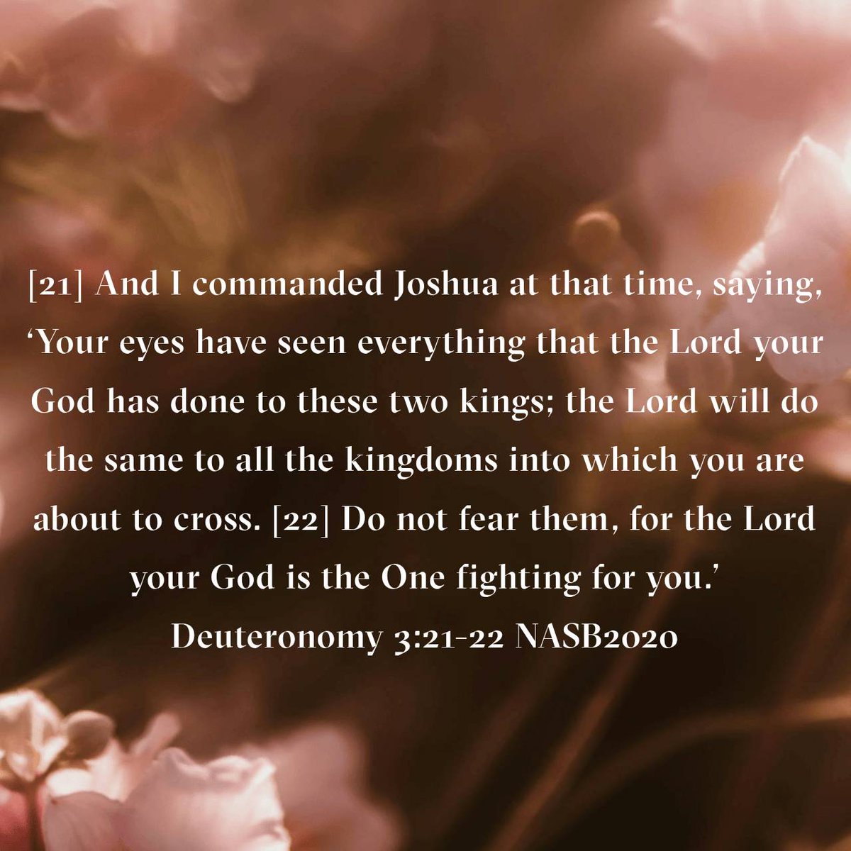 LyaSjoy's tweet photo. Deuteronomy 3:21-22 NASB2020
[21] And I commanded Joshua at that time, saying, ‘Your eyes have seen everything that the Lord your God has done to these two kings; the Lord will do the same to all the kingdoms into which you are about to cross. [22] Do not fear them, for the... https://t.co/KvojP1MXyk