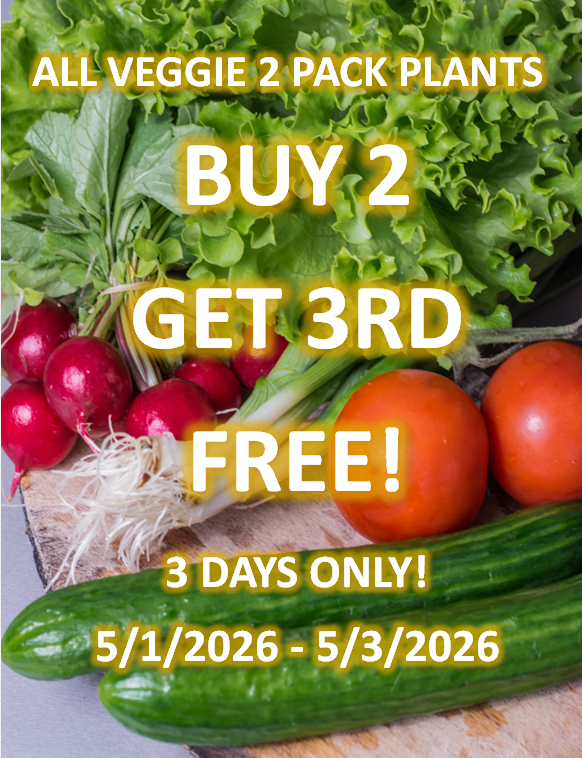 AceSycamore's tweet image. Spring is here! 🌱 Buy 2 vegetable plants and get 1 FREE! Perfect time to start your garden. Offer valid May 1-3 only. Will your garden be colorful this year? Share your planting plans below! #GardenGoals #AceHardware