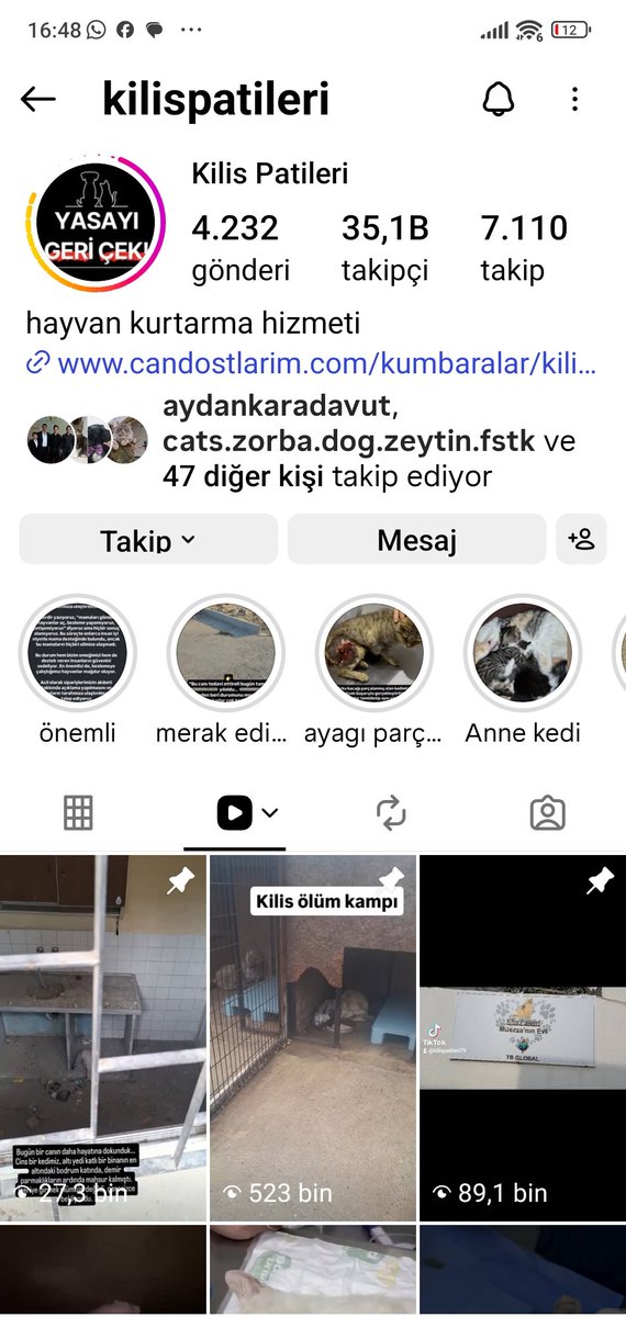 Yesimcarpediem19 tweet media