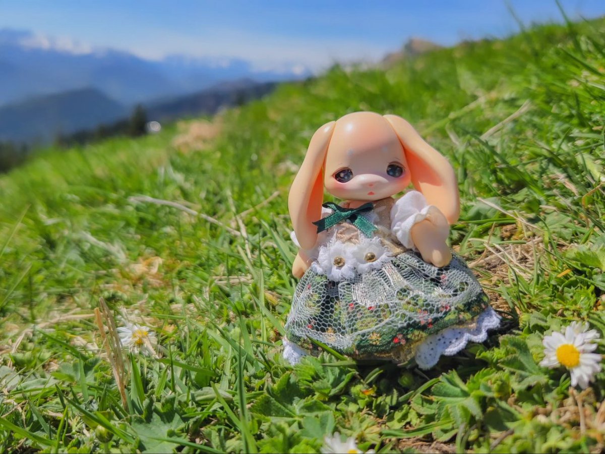 ta_line_vk's tweet photo. Brauneck⛰️
すばらしい景色と大自然に包まれて身体のチューニングを整えてきたよ✨
Schönen Tag noch🌈

 #cocoriang 
 #doll https://t.co/RFJ5v384SR
