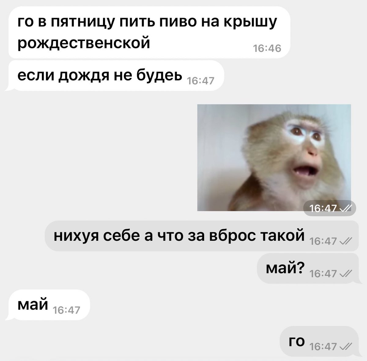 слайтли tweet media