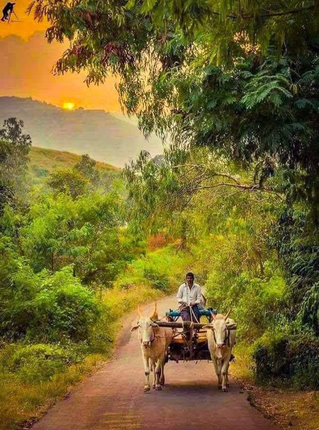 insanooo7's tweet image. किसान का मेहनत से, नाता है पुराना ,
सुबह खेत जाना, शाम ढले घर आना !🪏💐

#GoodEvening
#Kisan