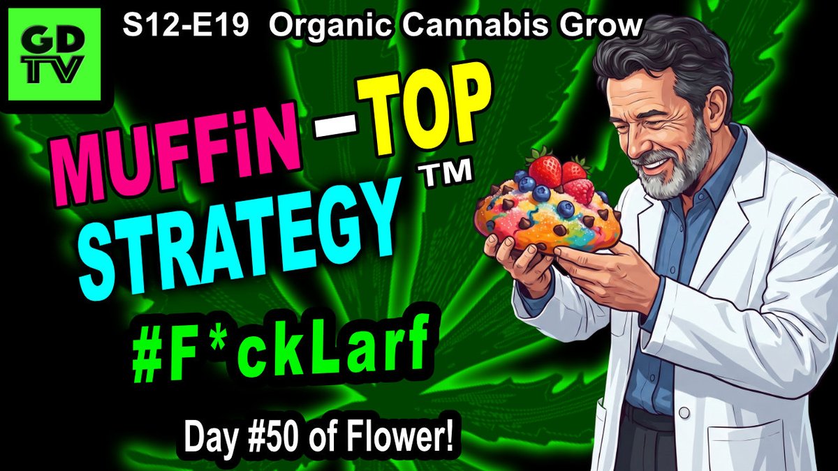 GrowDaddyTV's tweet photo. Hey we're back up on YouTube this morning C'MON!!!

GDTV-S12-E19 | Indoor Cannabis Grow - Day 50 Of Flower – DiY Fish Fertil... https://t.co/i4klplibbz via @YouTube https://t.co/QRz3BsReiE