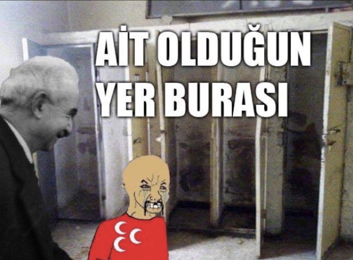 öylesine tweet media