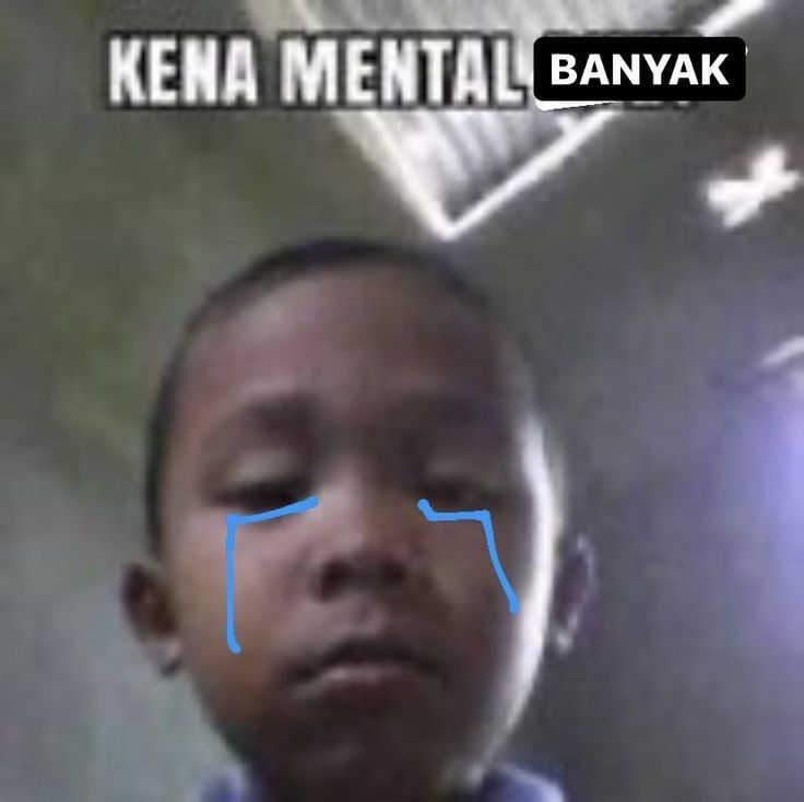 alu tweet media