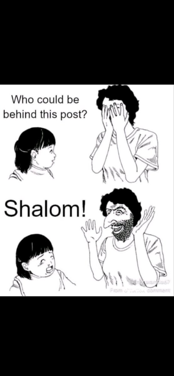 hamed hosseini tweet media