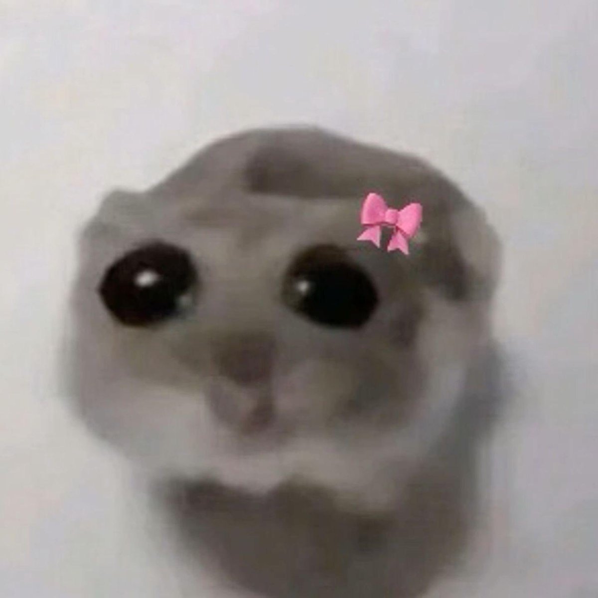 노라⁷ she/her tweet media
