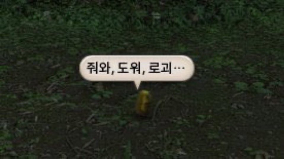 날원 tweet media