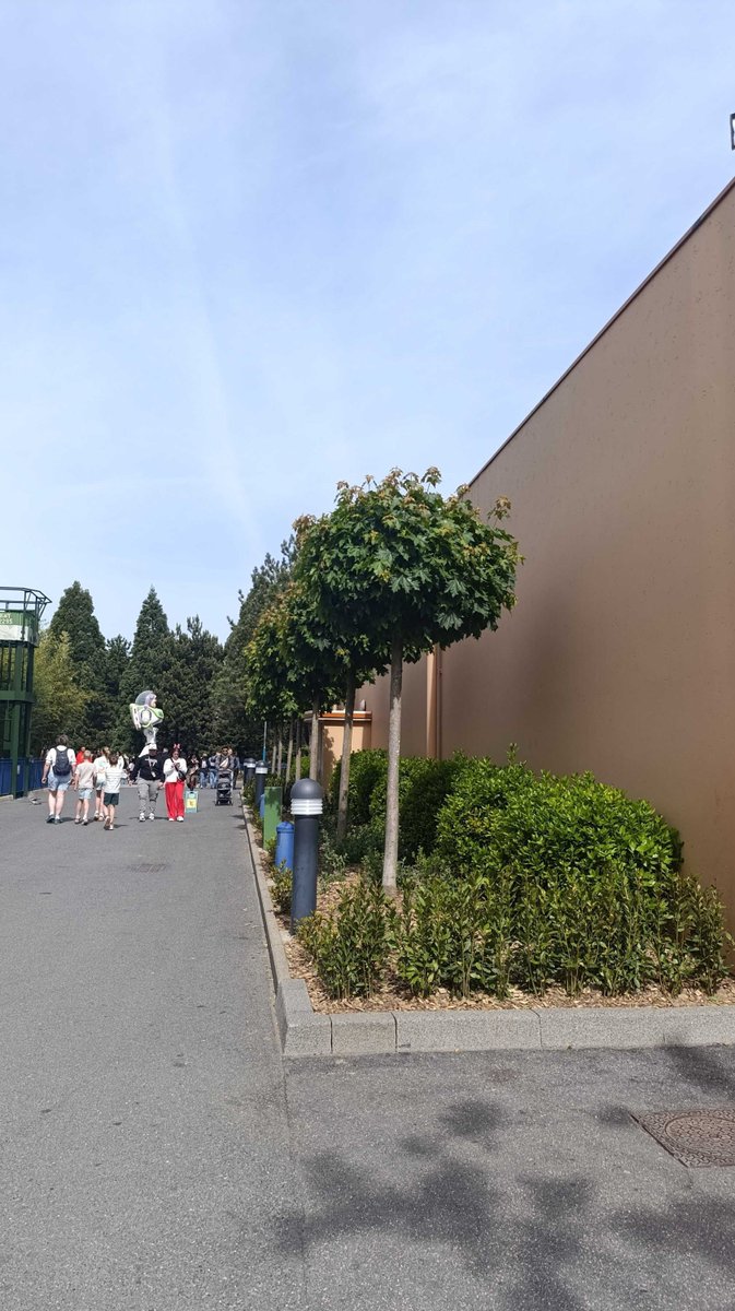 DisneyGazetteFr's tweet image. #DisneylandParis

De nouveaux arbres ont été plantés derrière Animation Célébration 🌳

#Disney