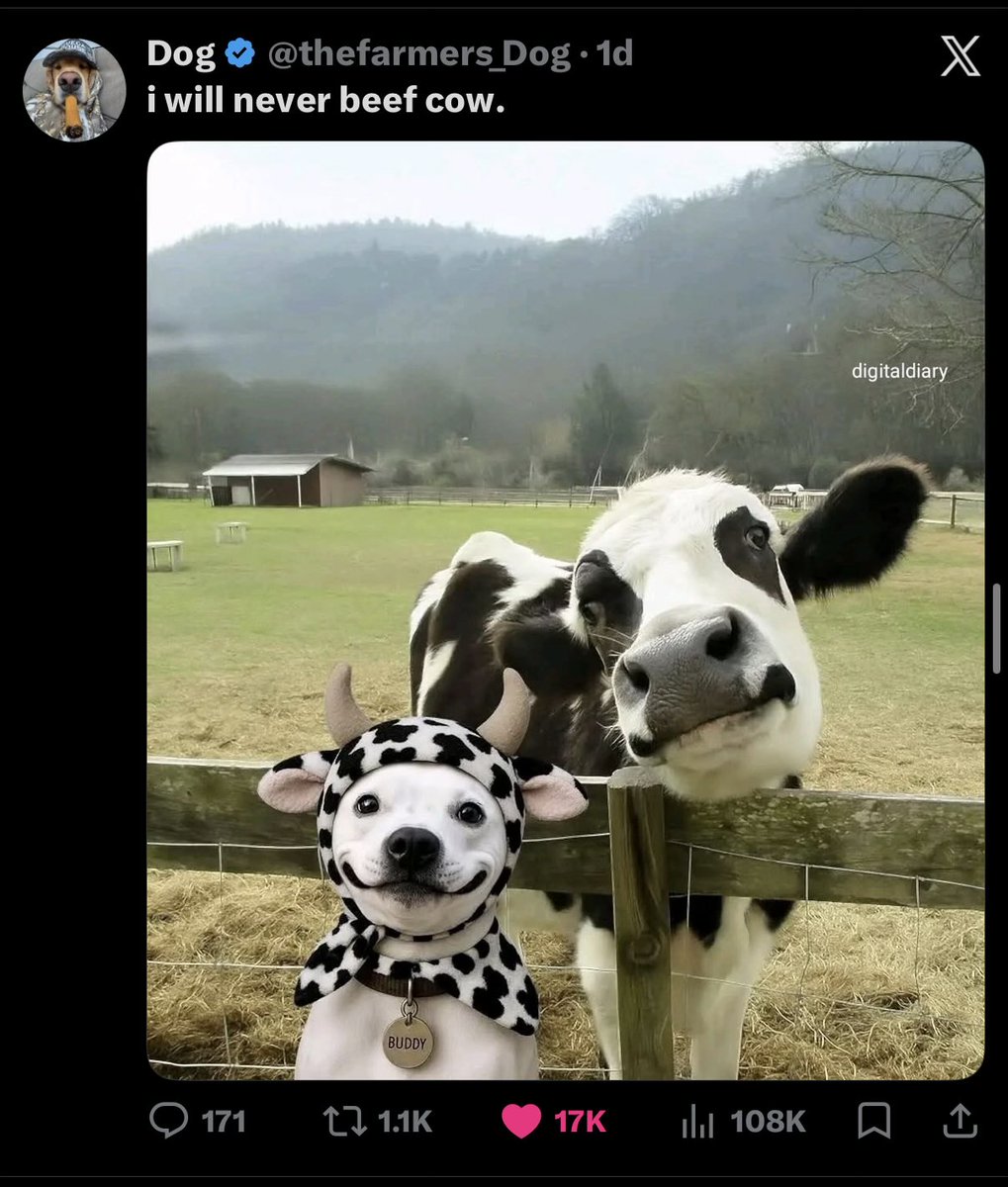 Dog tweet media