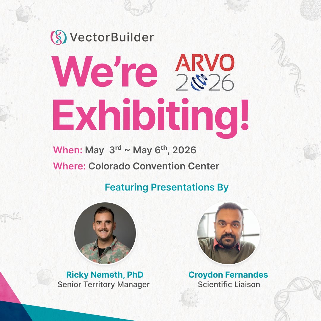 VectorBuilder tweet media