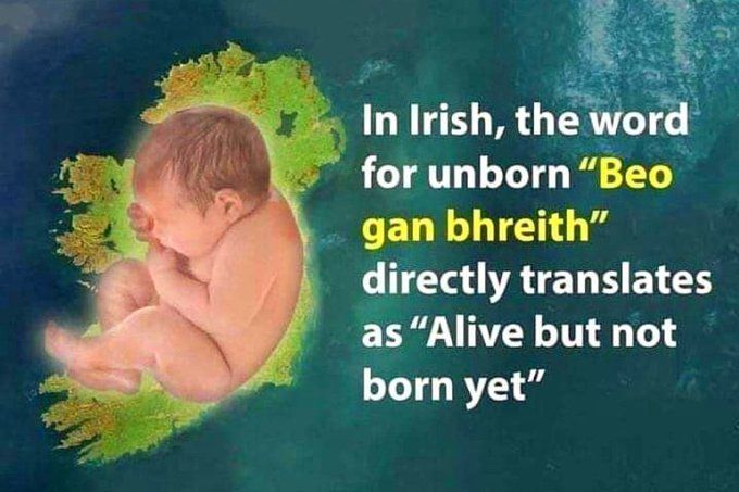 Stop Abortion Now tweet media