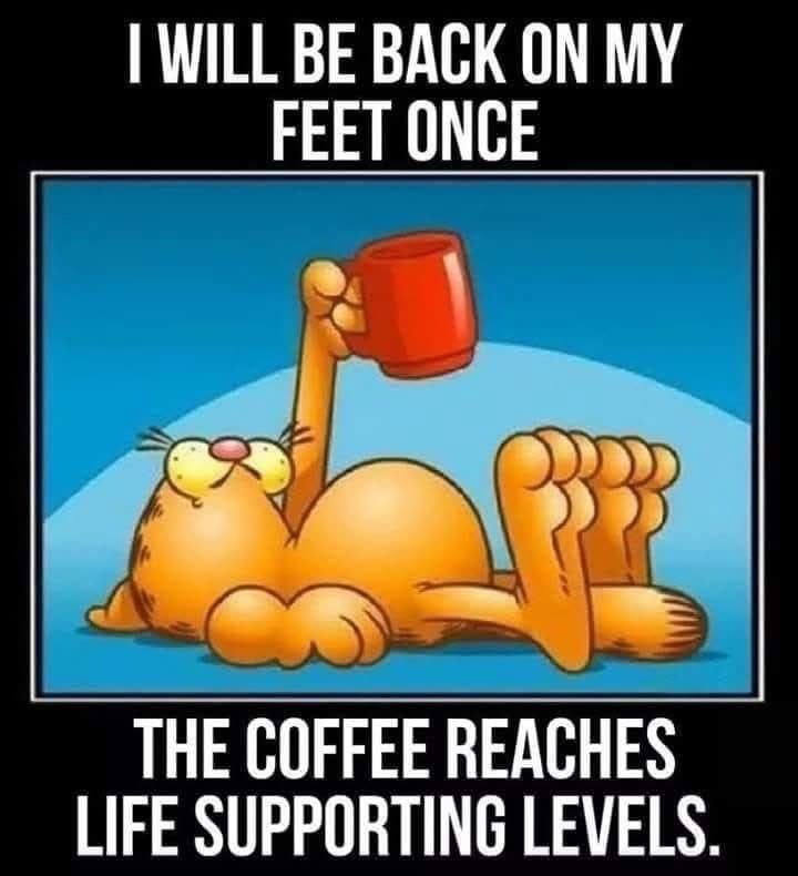 SeymourSnott's tweet image. #CoffeeCorps
@JZ_Graham 
@Larry112066 
@alisonfaye 
@RoyPeakMusic 
@mroohlala 
@JDHoop702 
@ImThatHoop 
@DLovesRasslin 
@Michele3D 
@bmeads17 
@ZeusKingDARK 
@Latte_Hillbilly 
@JGprowrestling 
@tappedoutpod 
@edmalik17 
@SquaredCircleIV 
@The1RJK 
@stormmaverick2 
#Coffee ☕️