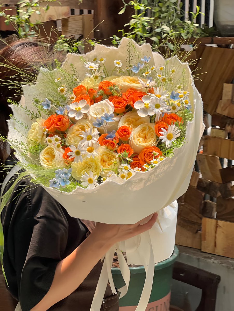 Soft Petals tweet media