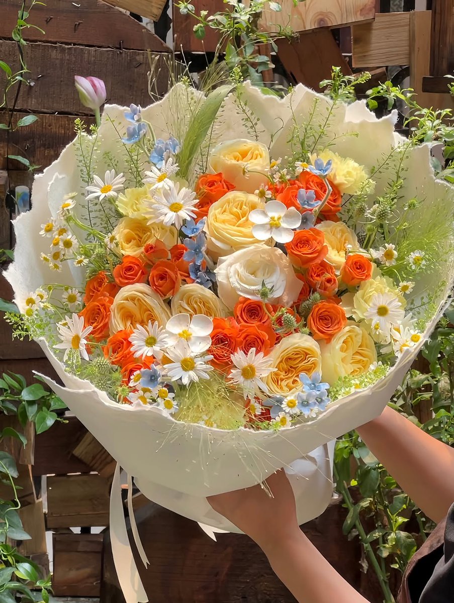 Soft Petals tweet media