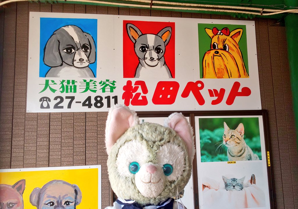 くまたろう tweet media