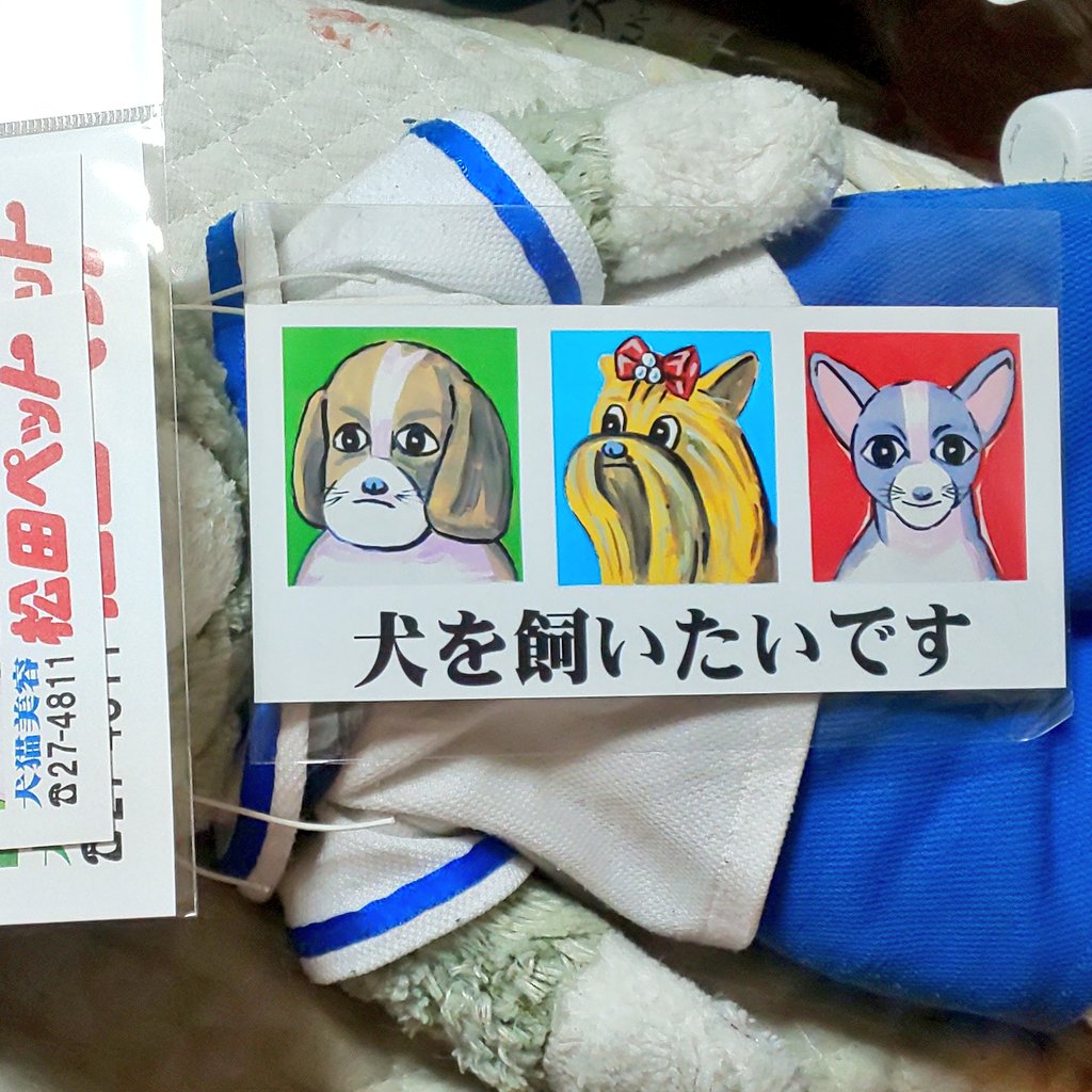 くまたろう tweet media