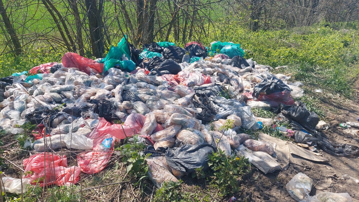 Сьогодні катався на велосипеді, на харківській окружній натрапив на ось таку кучугуру хлібу. Той, хто його викидав, мабуть добряче обурювався коли польські фермери висипали зерно. Але ж це інше...