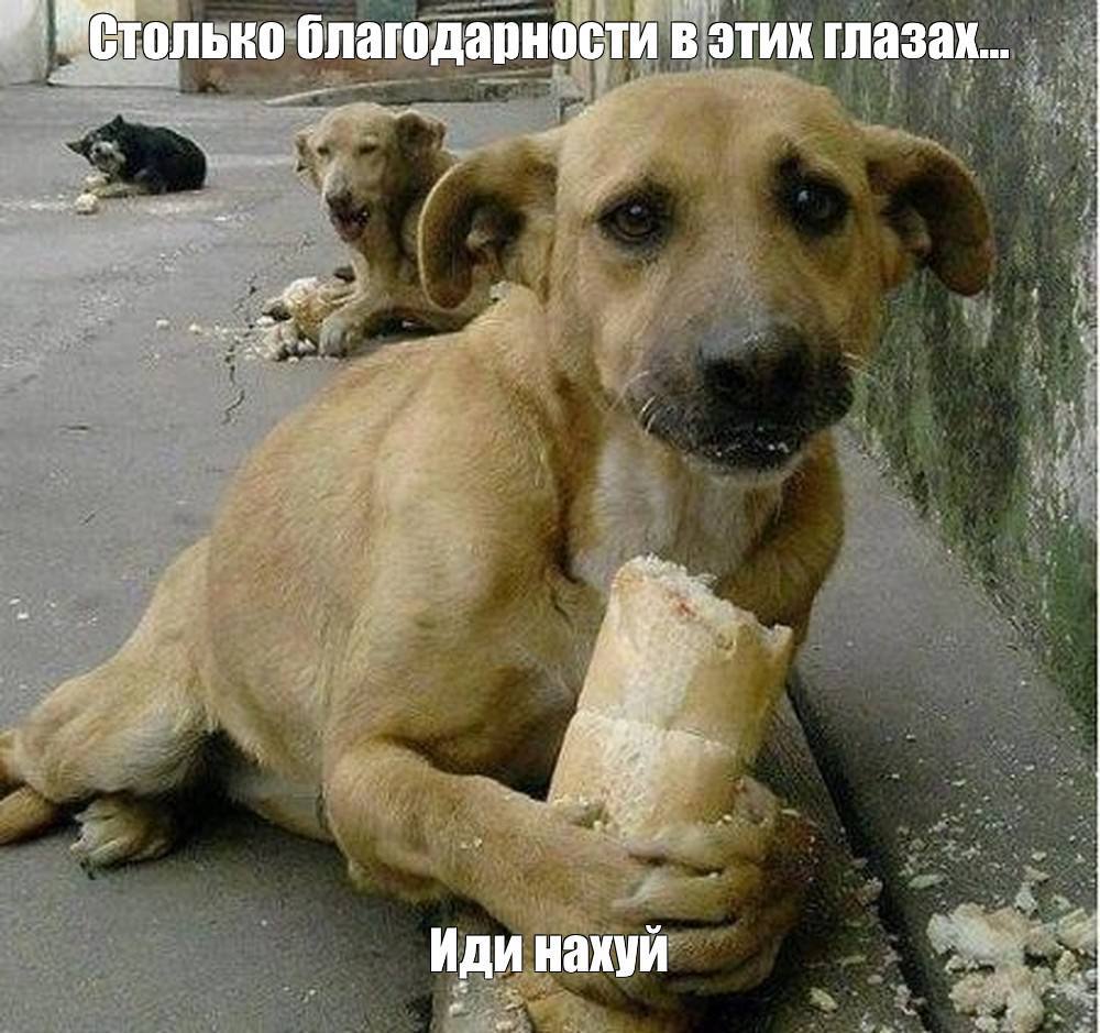 муад'діва 🇺🇦 tweet media