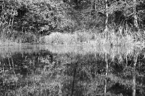 HurmerintaArt's tweet image. The Spring Reflections On The Water.
#spring 
#blackandwhite
#naturephotography

johanna-hurmerinta.pixels.com/featured/the-s…
