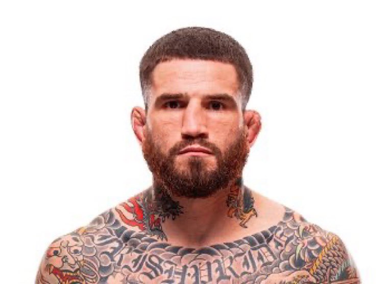 JB🥊 tweet media