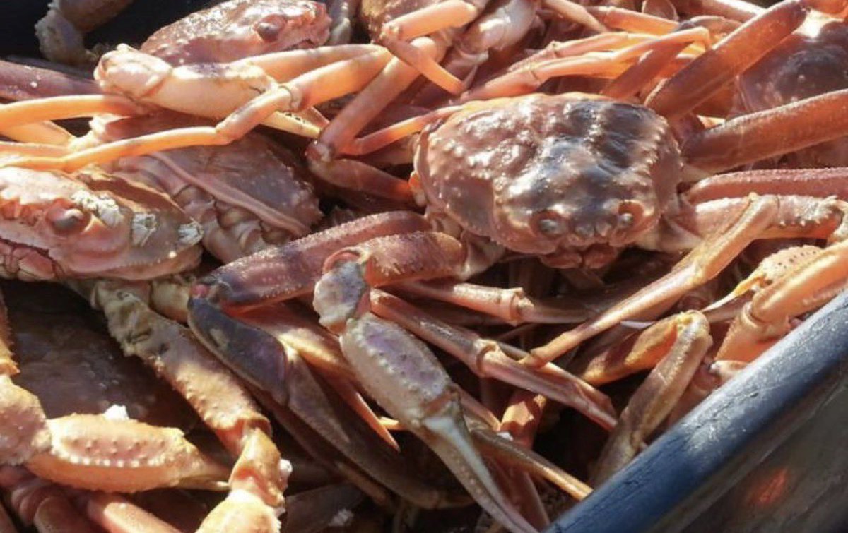 Atlantic Canada Seafood Group tweet media
