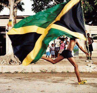 MartiWilks 🇯🇲🍁 tweet media