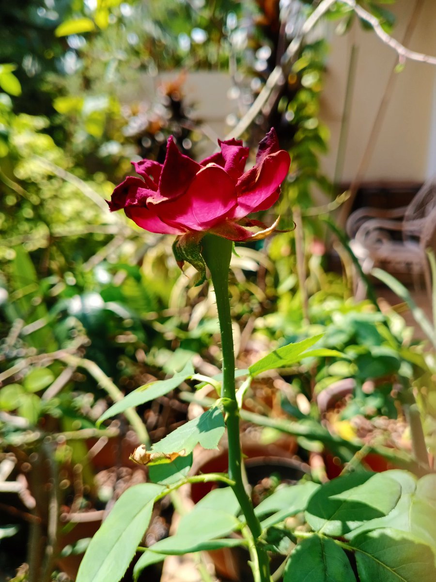 n464's tweet photo. https://t.co/CwumIYoZim