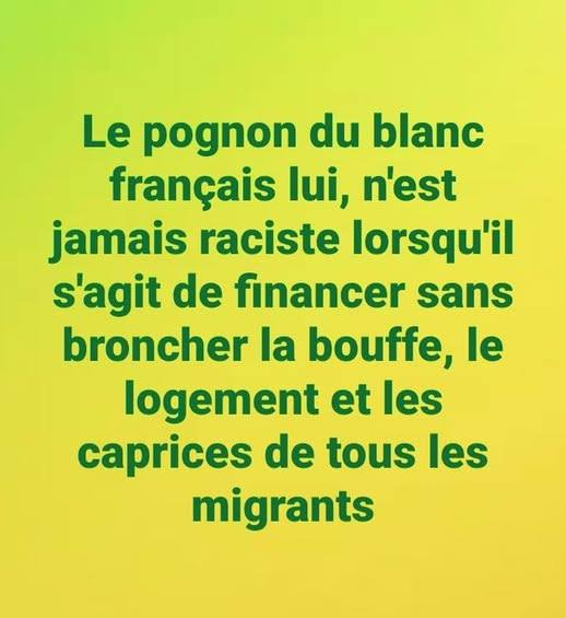 Dosinda tweet media
