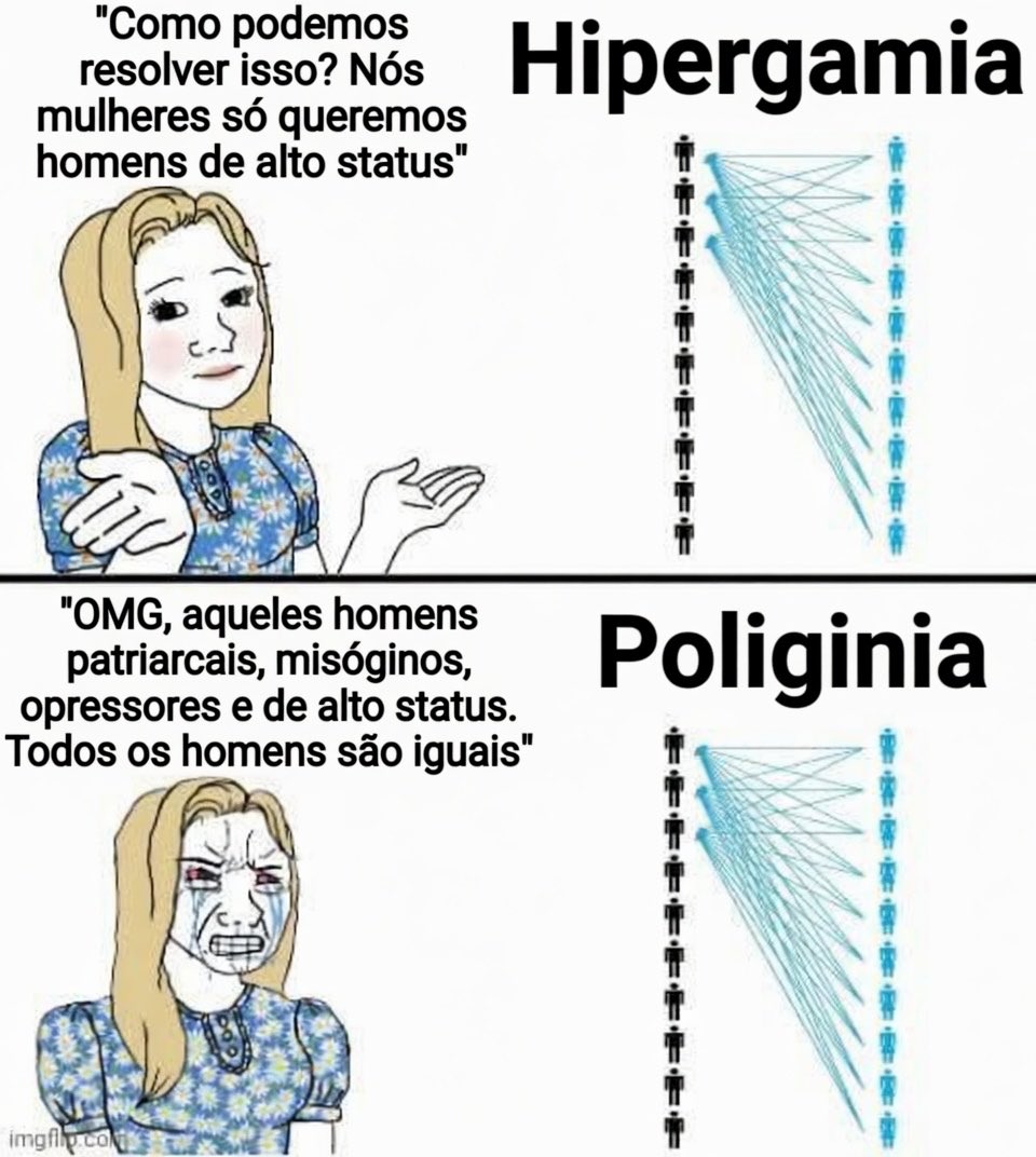 Vai entender