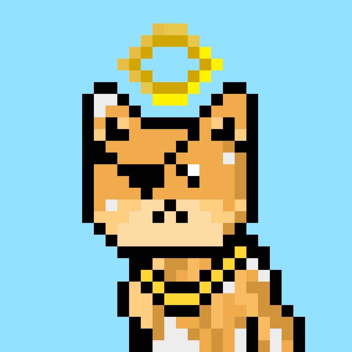 P4WN tweet media