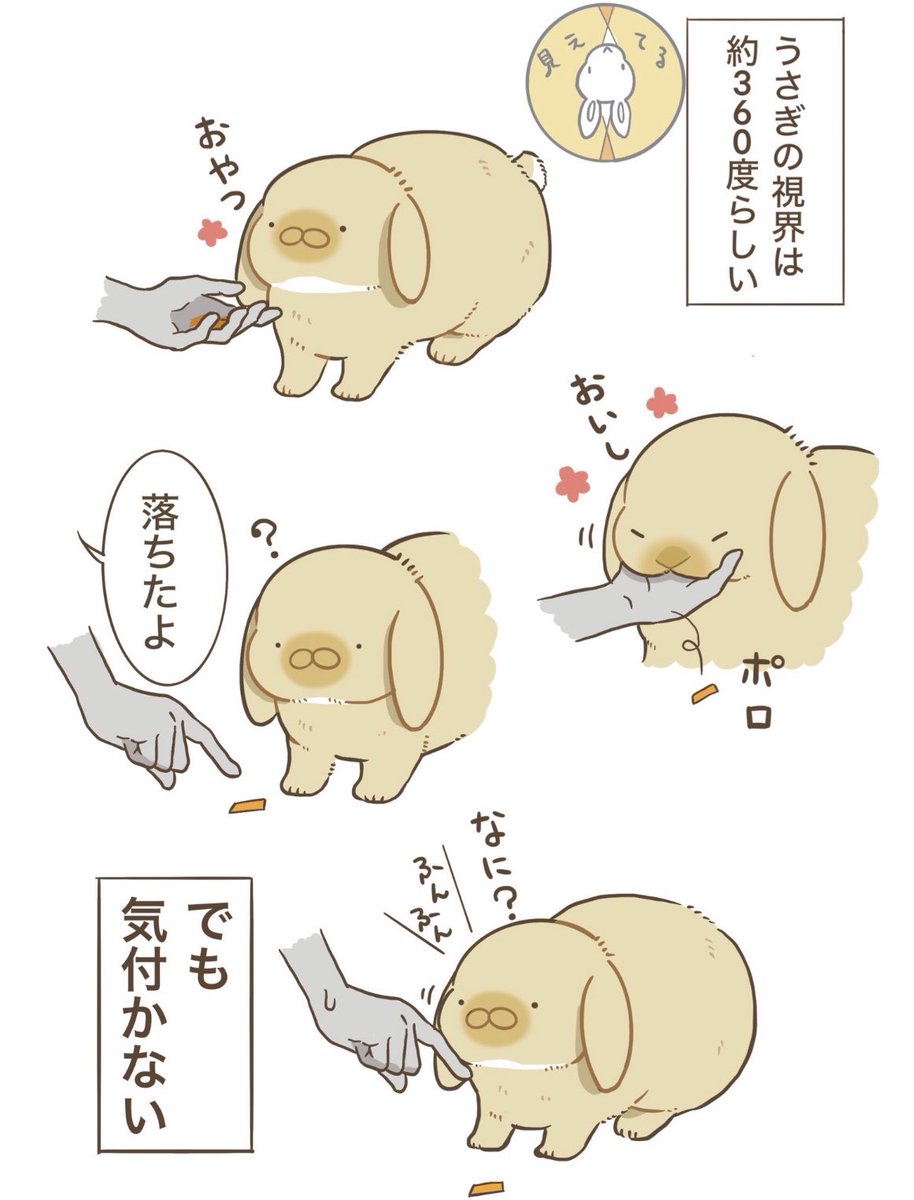 赤血球 tweet media