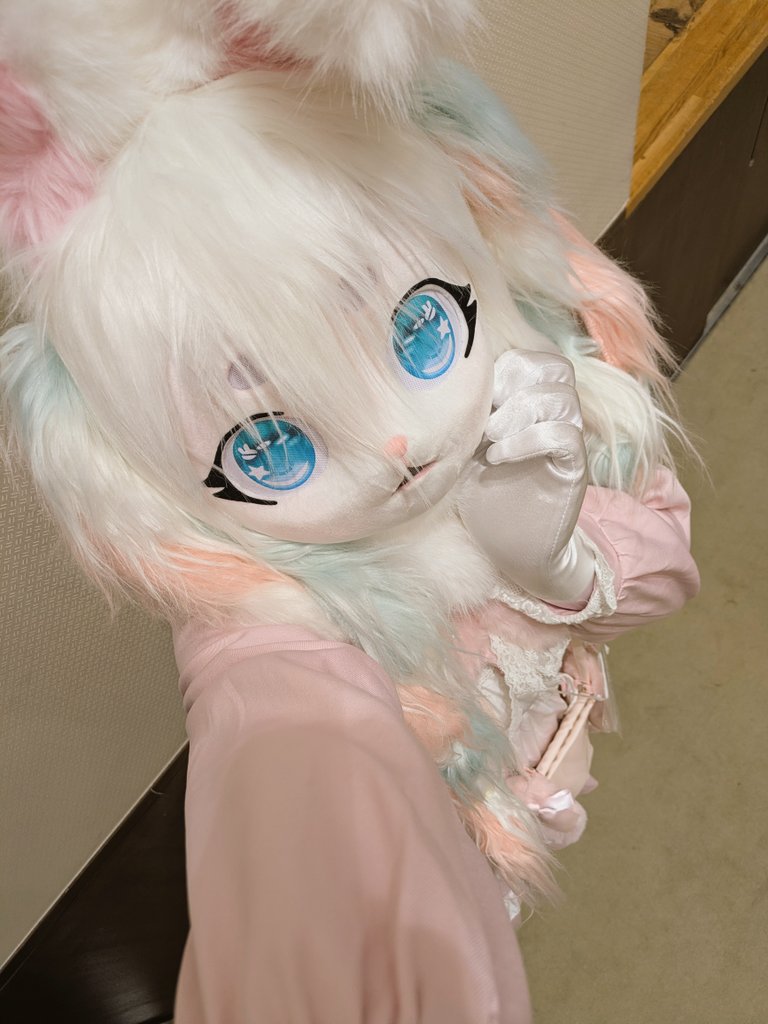 リゼラ🐇💞 tweet media