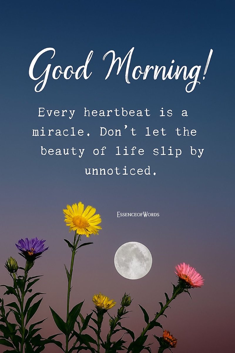 💞 𝔀𝓱𝓲𝓼𝓹𝓮𝓻 💞 ( ‏𝓐𝓵 ) 😘 tweet media