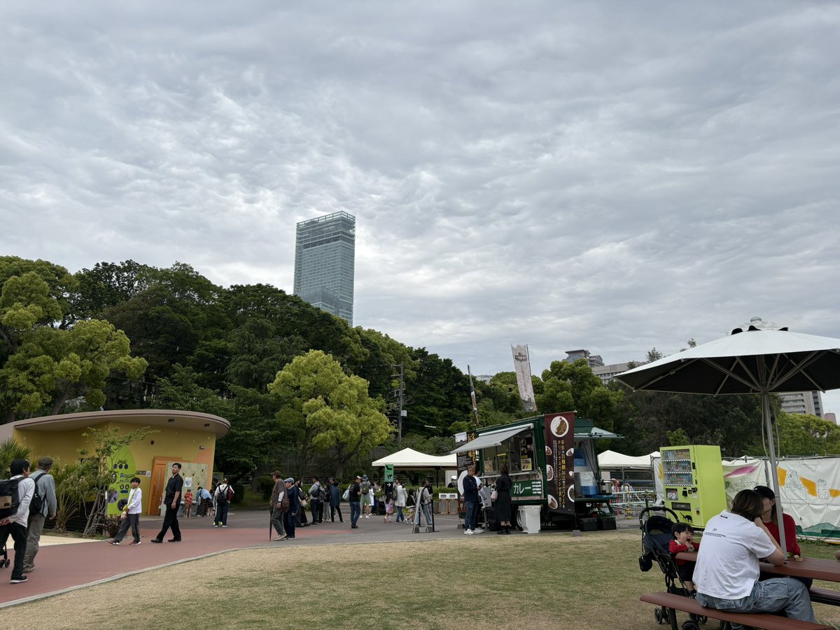 MineMotoko（峯素子） tweet media