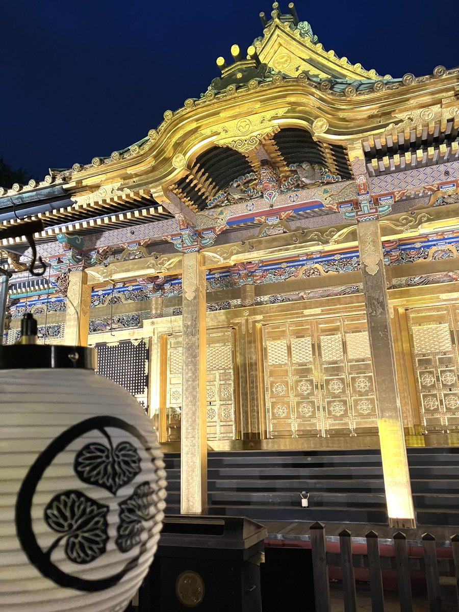 葵 tweet media
