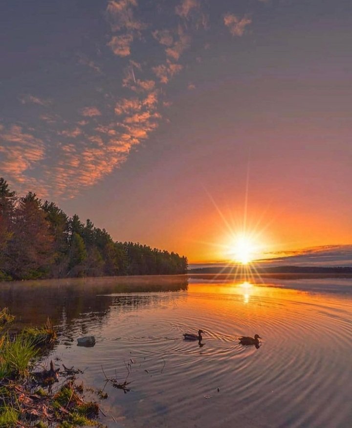Earth pictures 🌍🌎🌏 tweet media