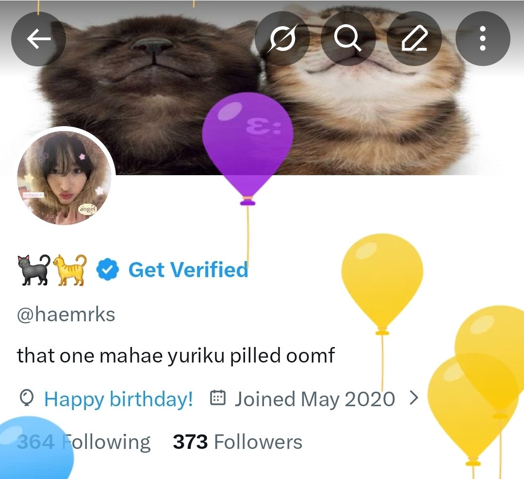 🐈‍⬛️🐈 tweet media