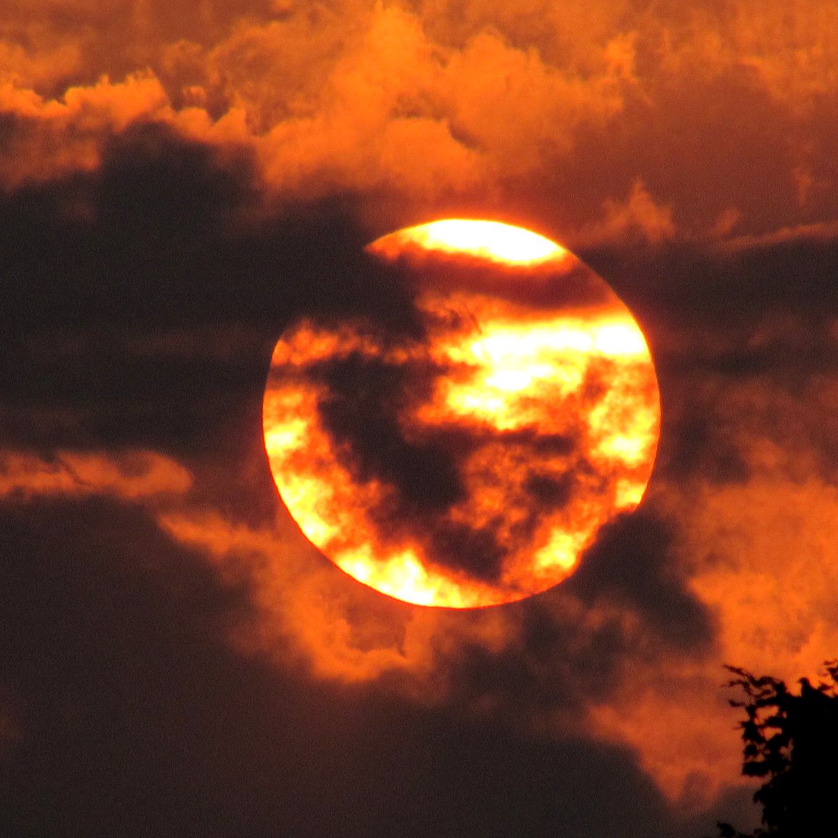 <a href="/8ntmuch/">Garrick</a> <a href="/PeggyJoFarr2/">Peggy Jo Farr</a> It looks Halloween spooky but I actually took this photo on the 4th of July a few years ago.