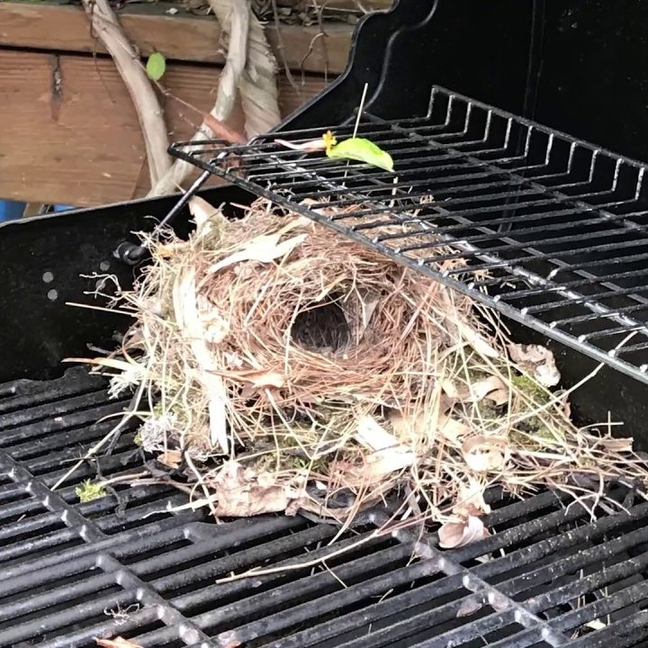 Give A Shit About Nature tweet media