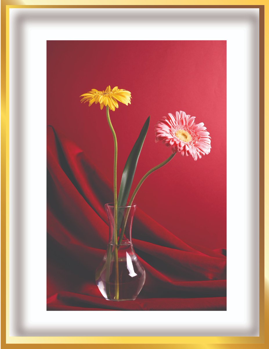 IsratJahan66045's tweet image. Album illustration

#twice_thisisfor_world_tour_in_boston 
#graphicdesign
#albumsthatshapedyourlifetop10 

Visit now....

fiverr.com/s/VYyw91e