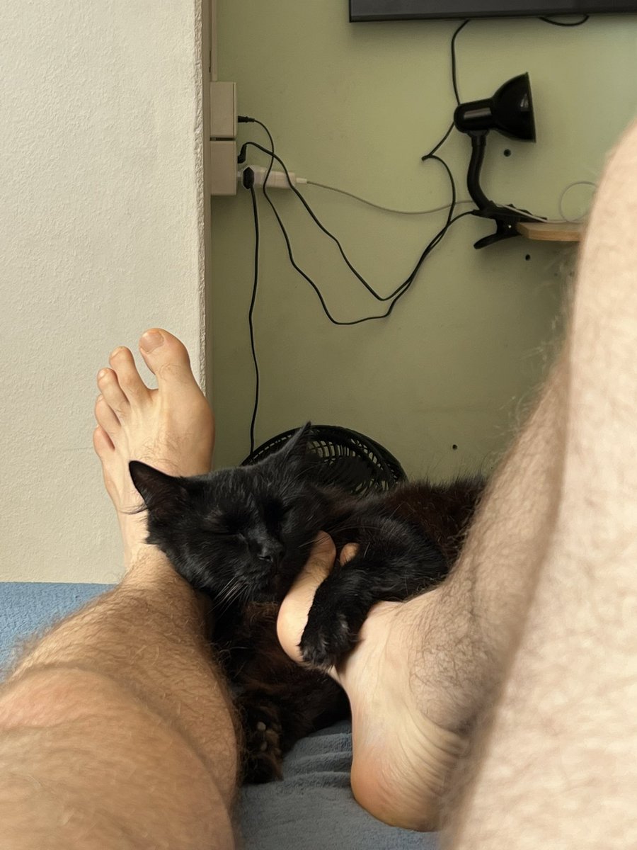 🐈‍⬛💤