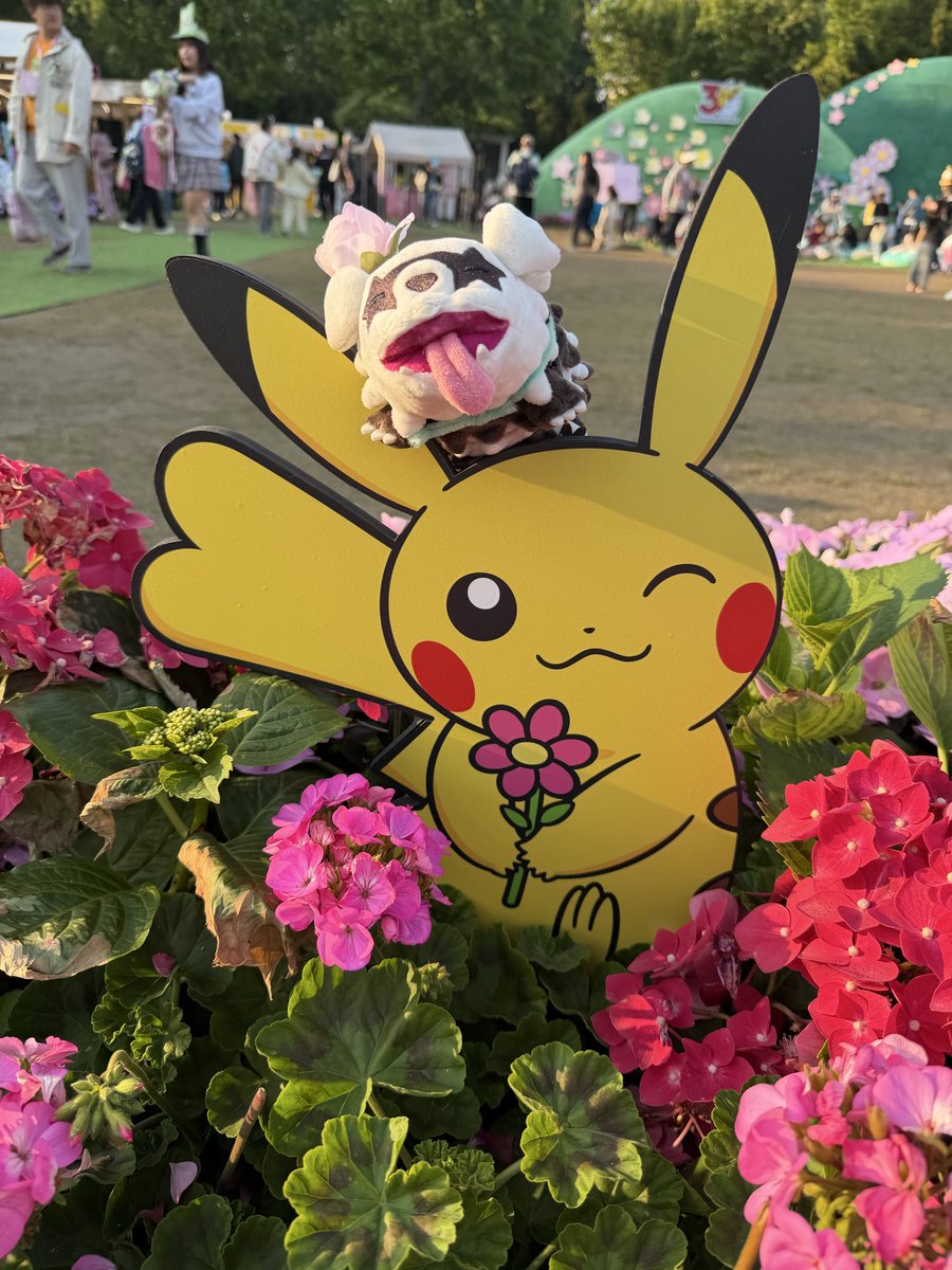 橘雁川 tweet media