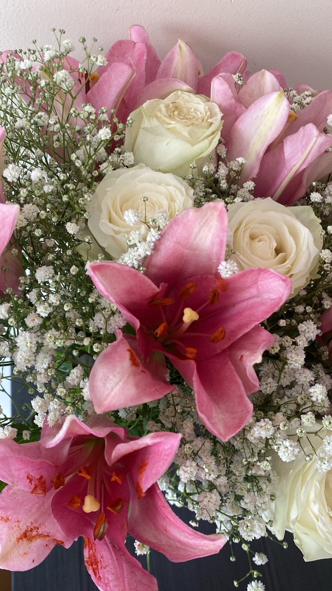 dudabicego's tweet photo. lírios 💐 https://t.co/eNXZNP5H0t
