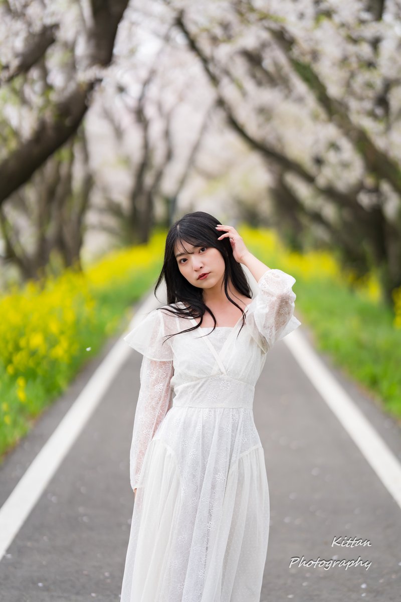 きったん tweet media