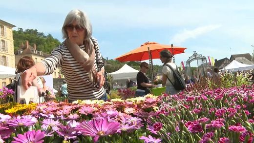 France3Paris's tweet image. "Non seulement elles sont belles et en plus elles sont bonnes !", le château de La Roche-Guyon met à l'honneur les plantes comestibles
france3-regions.franceinfo.fr/paris-ile-de-f…
#plantes #découverte #culture