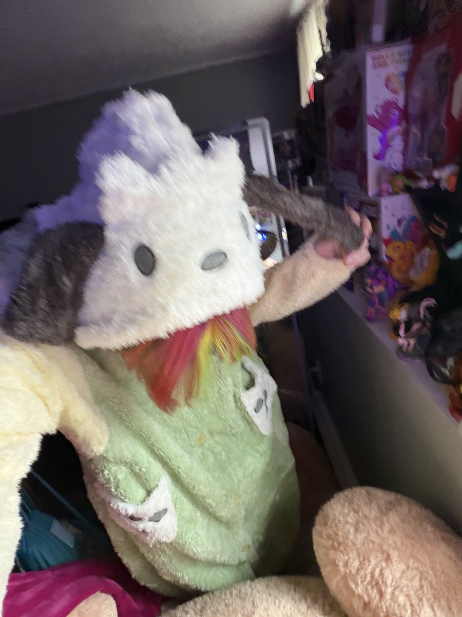 bunny 🐰 tweet media