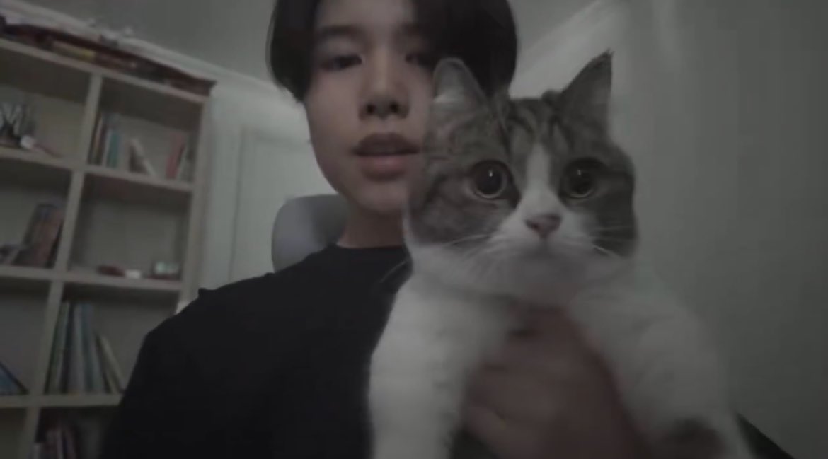 새깅9등급 tweet media